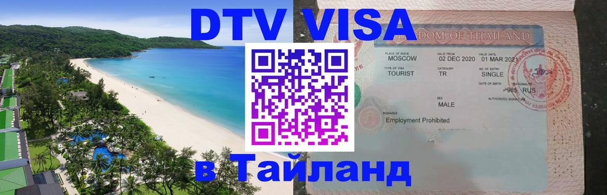 Сколько стоит DTV виза — актуальные цены, оформление даже без документов - Самара 